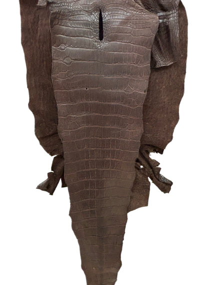 47 cm Grade 2/3 Chocolate Matte Wild American Alligator Leather - Tag: LA23-0014956