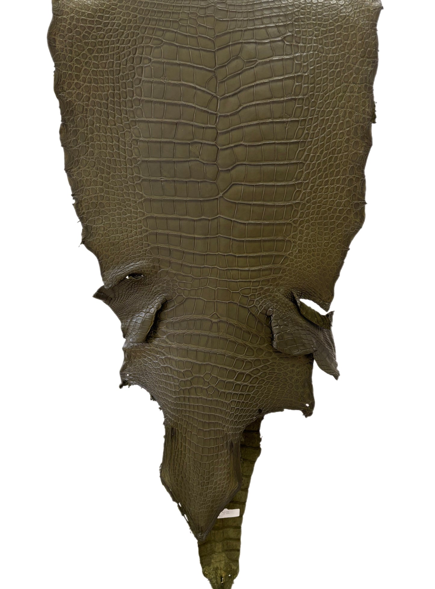 50 cm Grade 3/4 Olive Matte Wild American Alligator Leather - Tag: LA23-0014653
