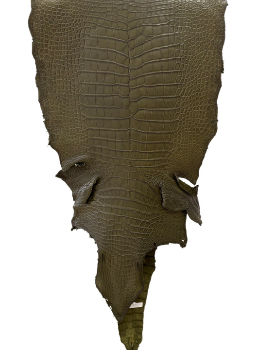 50 cm Grade 3/4 Olive Matte Wild American Alligator Leather - Tag: LA23-0014653