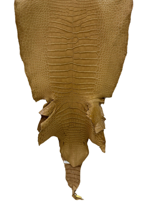 46 cm Grade 2/3 Antique Saddle Matte Wild American Alligator Leather - Tag: LA16-0032467