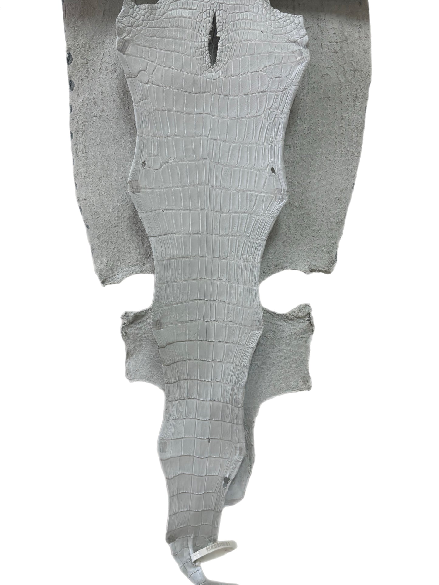 41 cm Grade 2/3 White Matte Wild American Alligator Leather - Tag: LA23-0015499