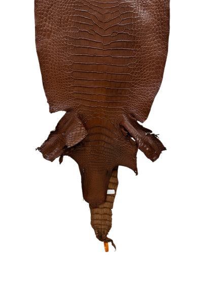 37 cm Grade 2/3 Cigar Matte Wild American Alligator Leather - Tag: LA23-0051534