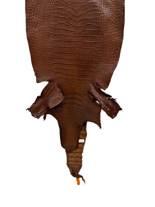 37 cm Grade 2/3 Cigar Matte Wild American Alligator Leather - Tag: LA23-0051534