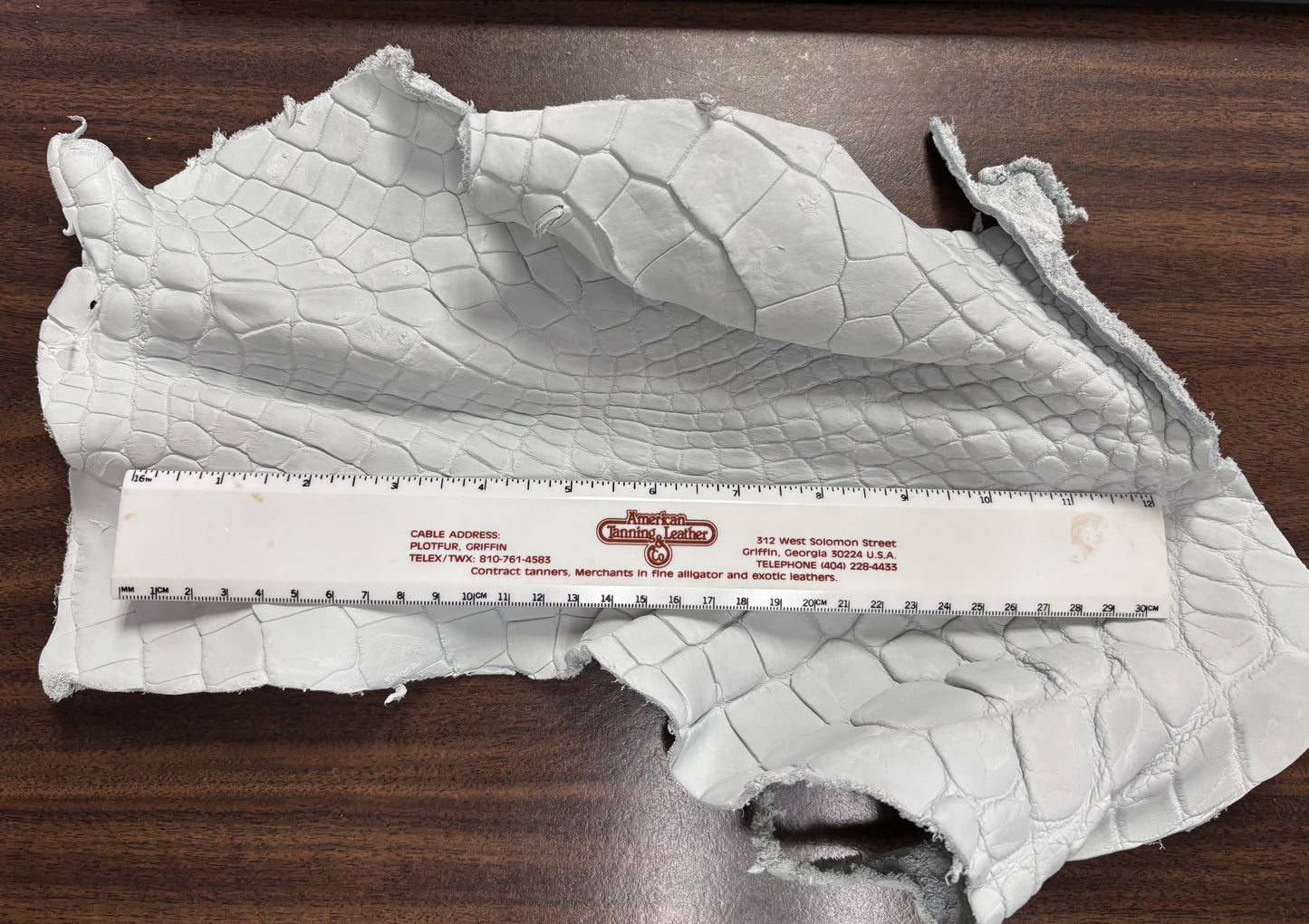 Genuine Crust Alligator Leather Scraps per Pound
