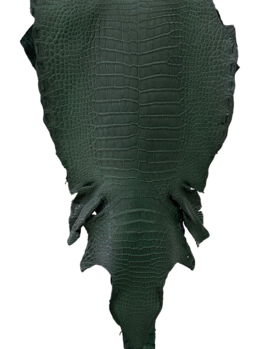 33 cm Grade 2/3 Forest Green Matte Wild American Alligator Leather - Tag: LA23-0050722