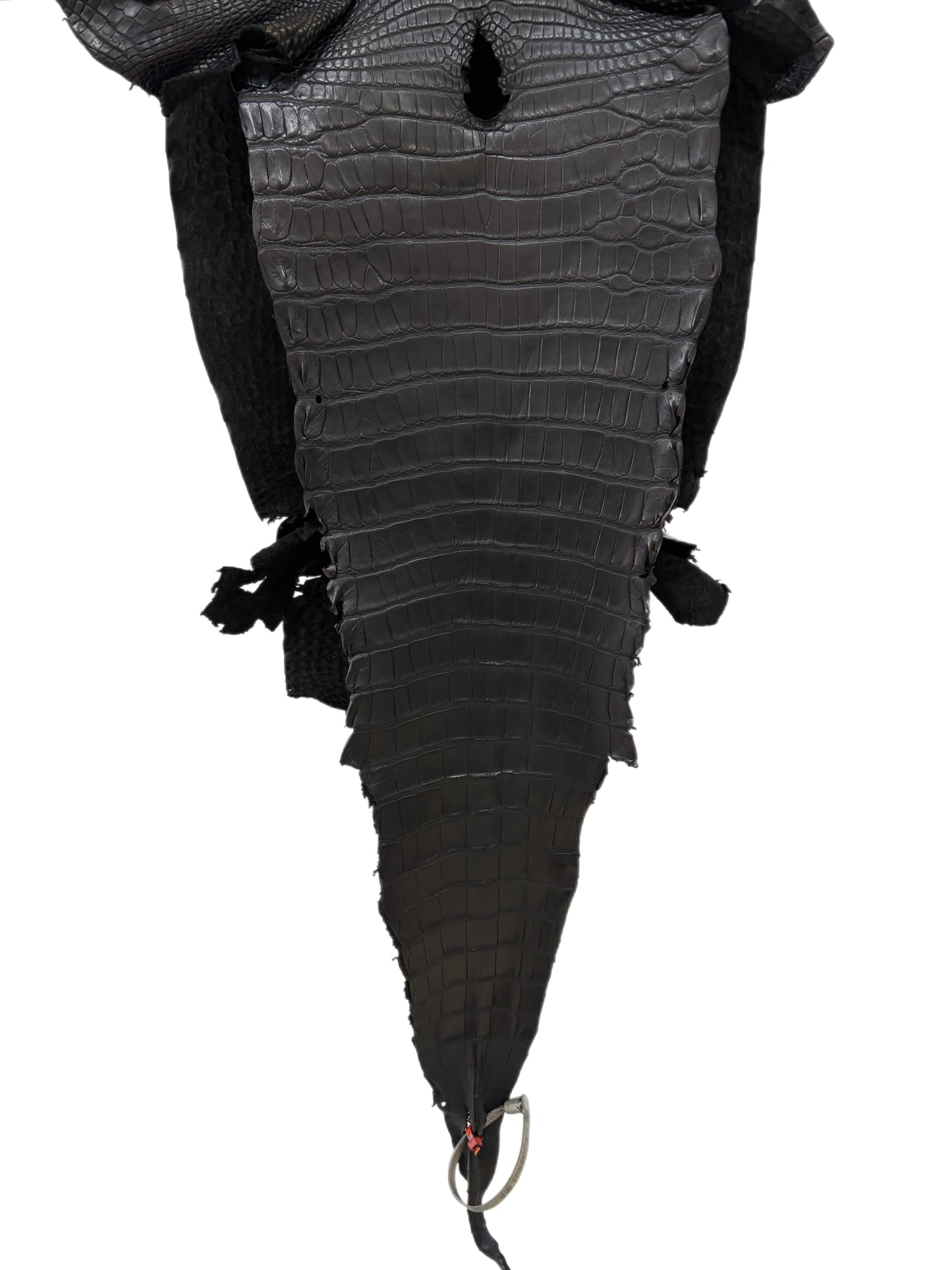 33 cm Grade 2/3 Black Matte Farm-Raised American Alligator Leather - Tag: LA23-0531966