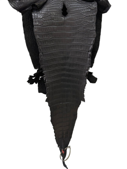 33 cm Grade 2/3 Black Matte Farm-Raised American Alligator Leather - Tag: LA23-0531966