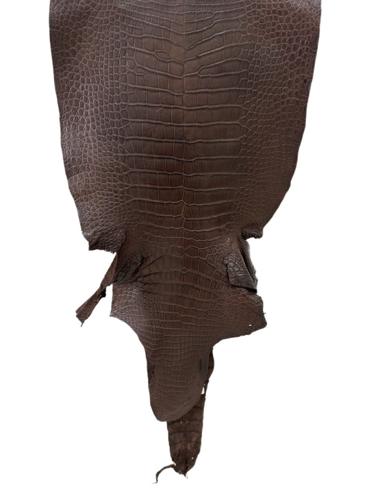46 cm Grade 3/4 Chocolate Matte Wild American Alligator Leather - Tag: LA24-0022769