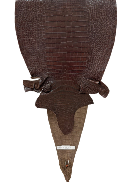 41 cm Grade 1/2 Chocolate Matte Farm-Raised American Alligator Leather - Tag: FL17-0038516