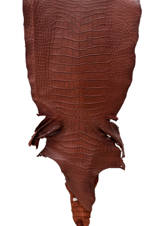 45 cm Grade 3/4 Italian Gold Matte Wild American Alligator Leather - Tag: LA23-0016601