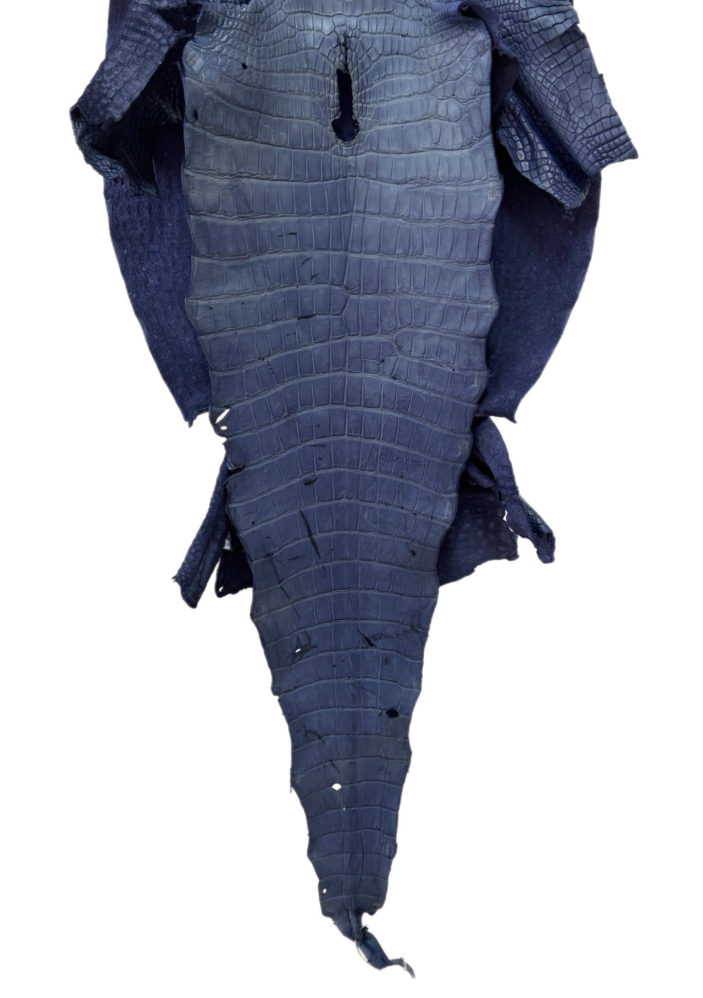 48 cm Grade 4/5 Indigo Matte Wild American Alligator Leather - Tag: LA25-0008036