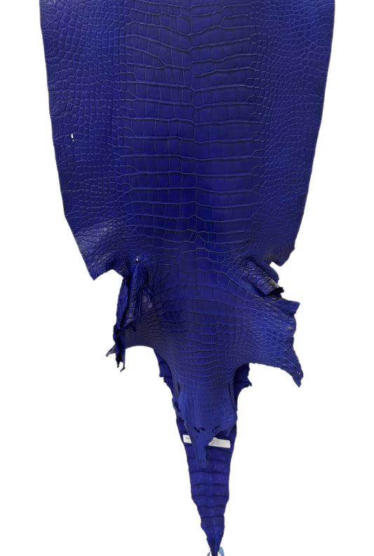 41 cm Grade 2/3 Cobalt Blue Matte Wild American Alligator Leather - Tag: LA23-0024217