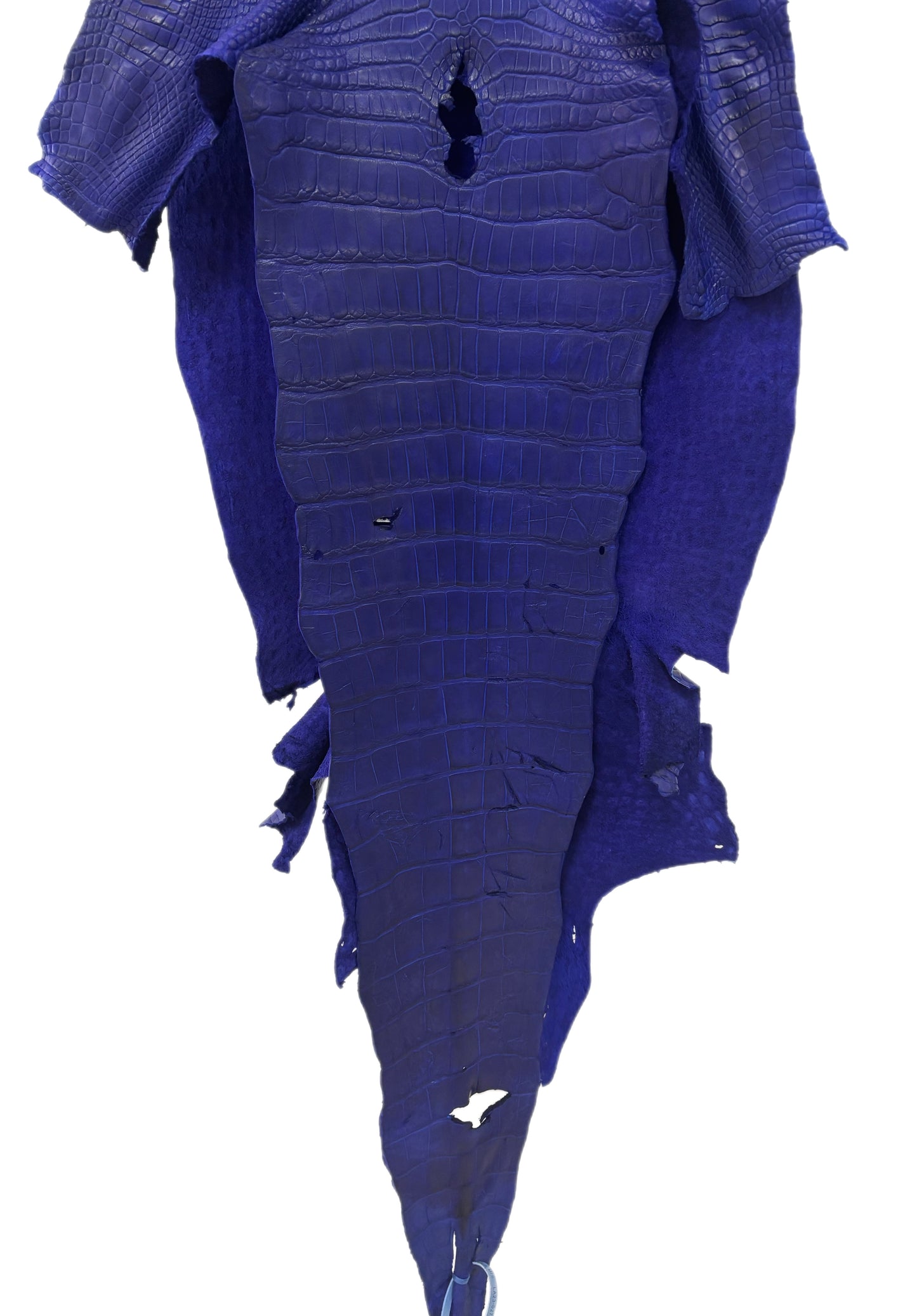 39 cm Grade 2/3 Cobalt Blue Matte Wild American Alligator Leather - Tag: LA23-0027268