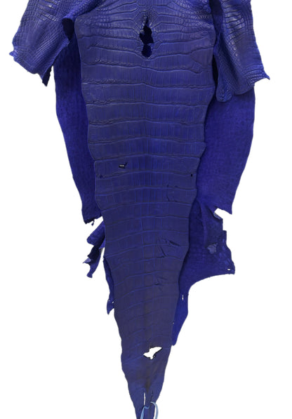39 cm Grade 2/3 Cobalt Blue Matte Wild American Alligator Leather - Tag: LA23-0027268