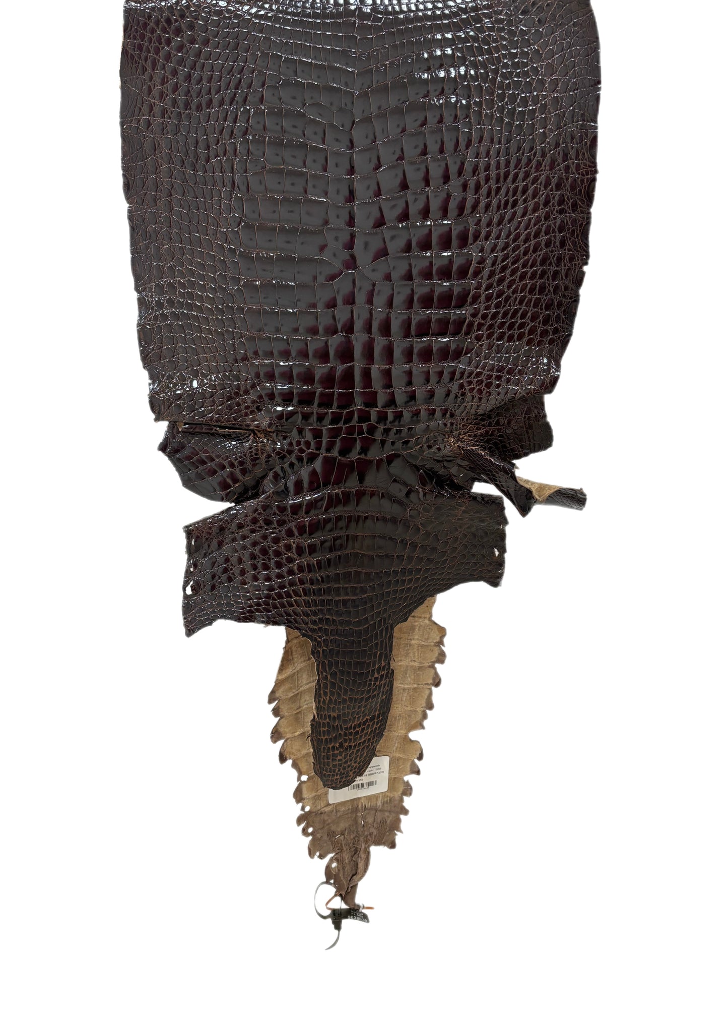 43 cm Grade 2/3 Sport Rust Brown Glazed Wild American Alligator Leather - Tag: FL98-0038639