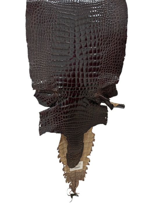 43 cm Grade 2/3 Sport Rust Brown Glazed Wild American Alligator Leather - Tag: FL98-0038639