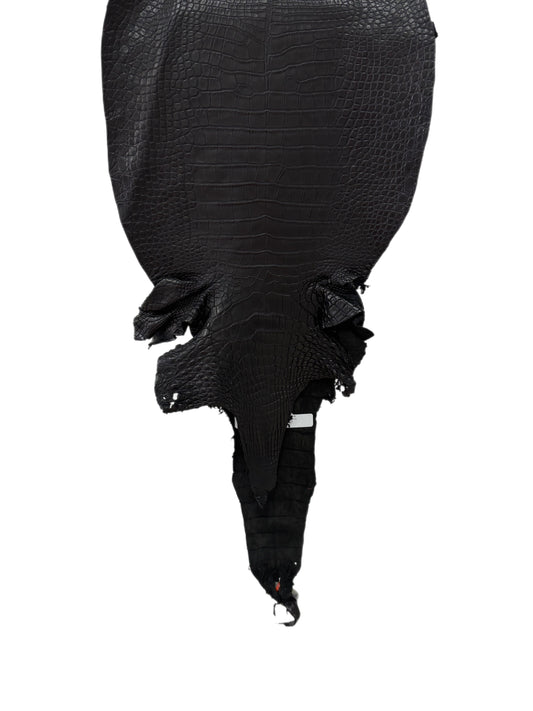 34 cm Grade 2/3 Black Matte Farm-Raised American Alligator Leather - Tag: LA23-0531600