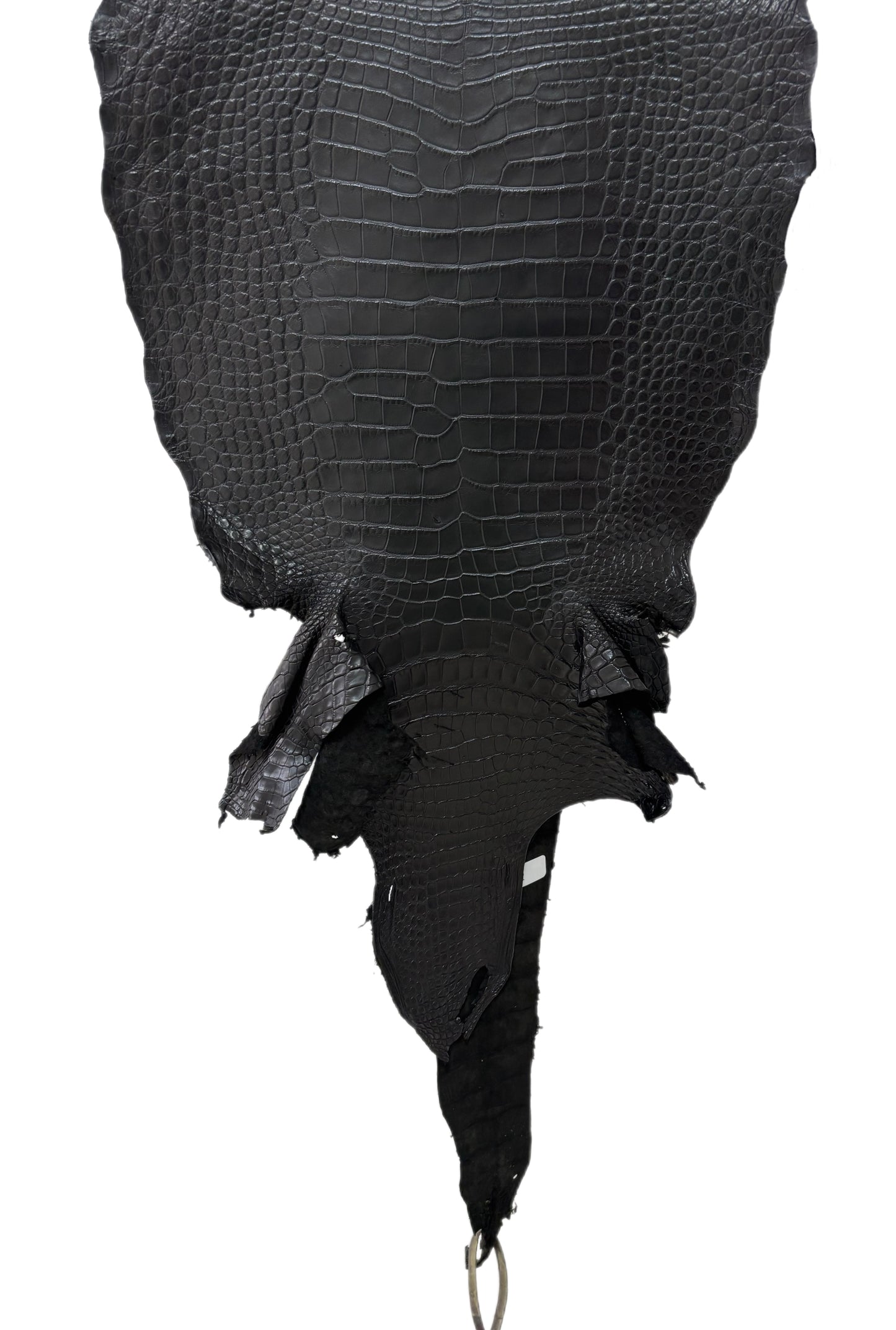36 cm Grade 3/4 Black Matte Wild American Alligator Leather - Tag: LA16-0037790