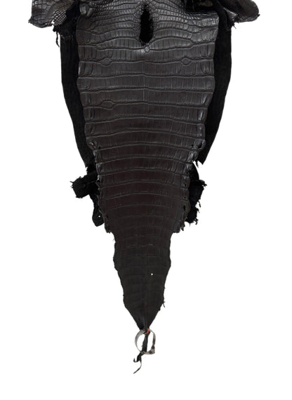 30 cm Grade 2/3 Black Matte Farm-Raised American Alligator Leather - Tag: LA23-0531403