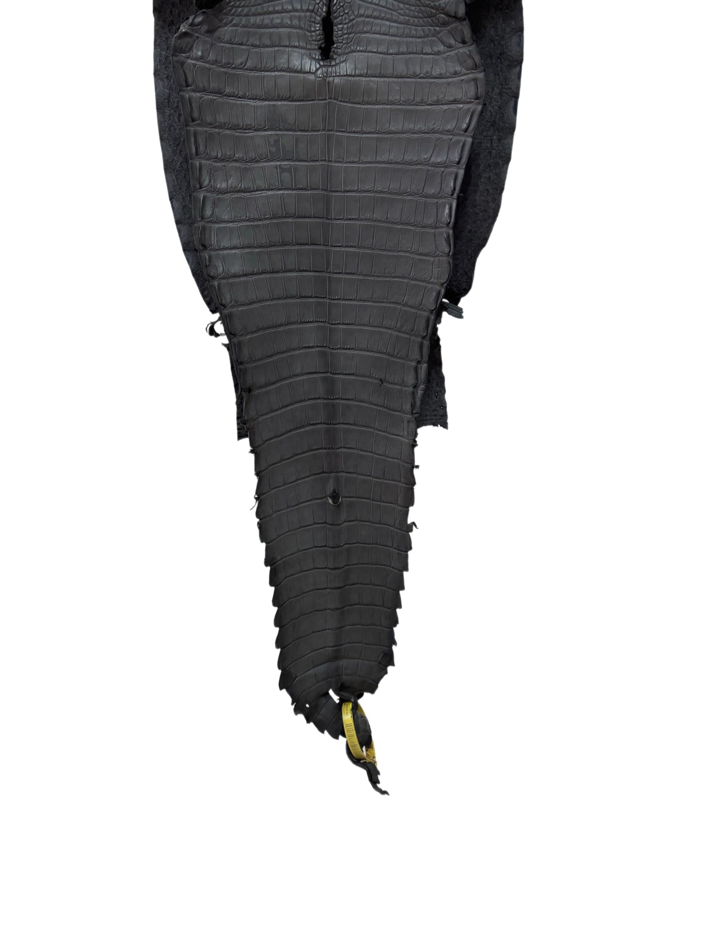 28 cm Grade 1/2 Serpentine Grey Matte Farm-Raised American Alligator Leather - Tag: FL22-0030354