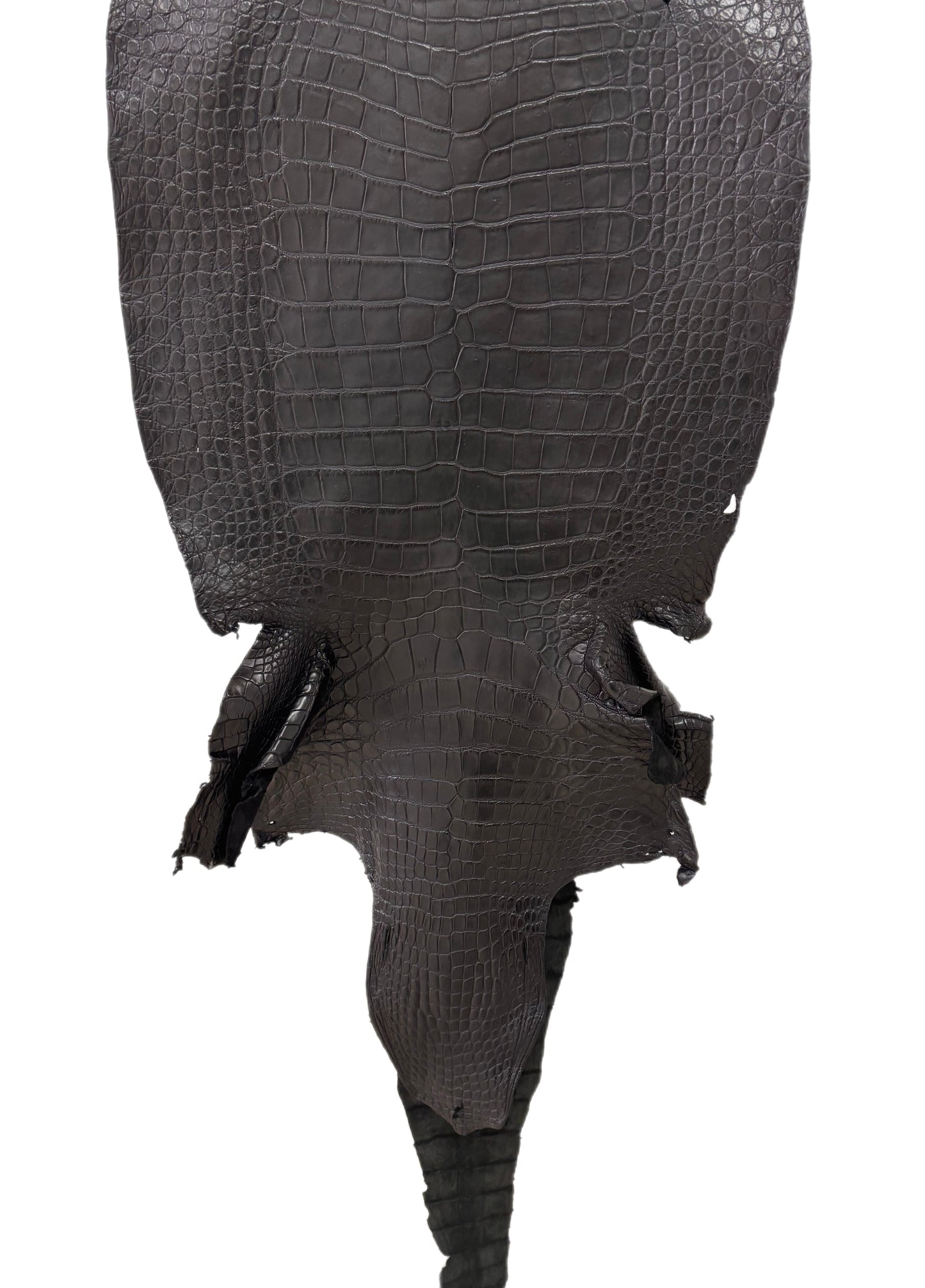 51 cm Grade 3/4 Black Matte Wild American Alligator Leather - Tag: LA23-0010983