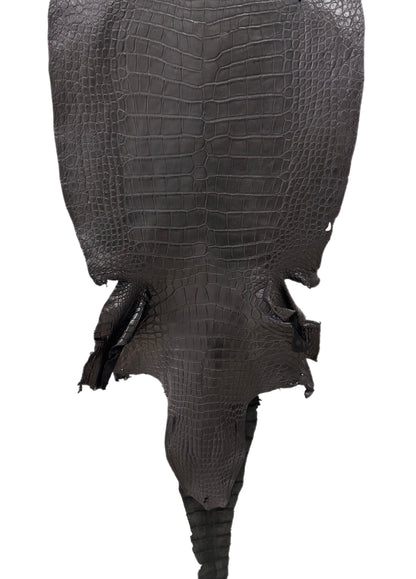 51 cm Grade 3/4 Black Matte Wild American Alligator Leather - Tag: LA23-0010983