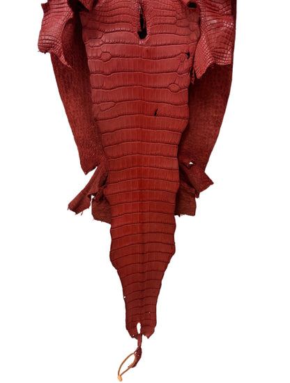 44 cm Grade 2/3 Marziale Matte Wild American Alligator Leather - Tag: LA16-0040146
