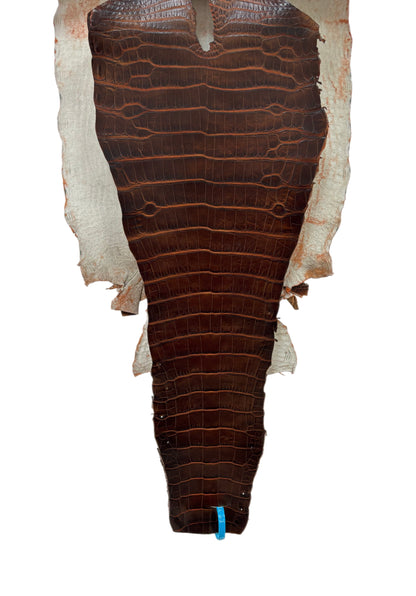 36 cm Grade 1/2 Sienna Matte Wild American Alligator Leather - Tag: ESRE-0050790