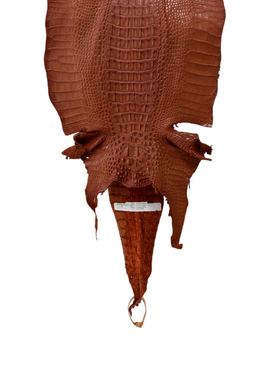 31 cm Grade 1/2 Cognac Matte Farm-Raised American Alligator Hornback Leather - Tag: LA23-0377144