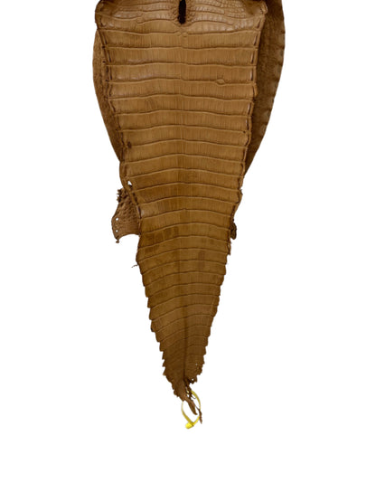 29 cm Grade 2/3 Antique Saddle Matte Farm-Raised American Alligator Leather - Tag: FL22-0030066