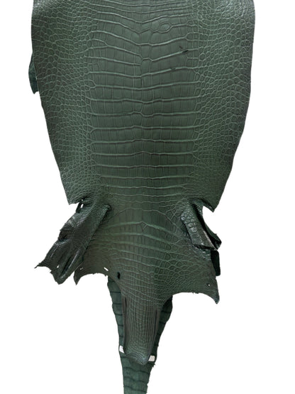 44 cm Grade 2/3 Forest Green Matte Wild American Alligator Leather - Tag: LA23-0051983