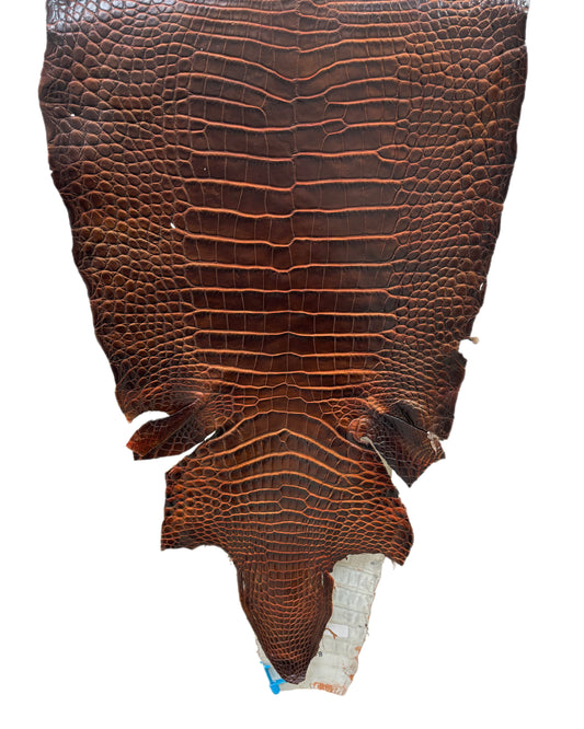 39 cm Grade 1/2 Sienna Desert Wild American Alligator Leather - Tag: ESRE-0050822