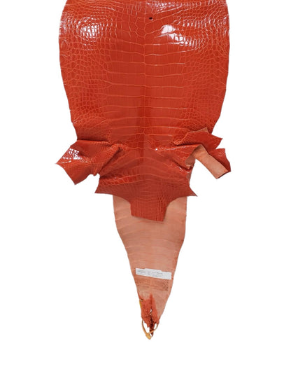 32 cm Grade 2/3 Mandarina Glazed Farm-Raised American Alligator Leather - Tag: GA13-0020606