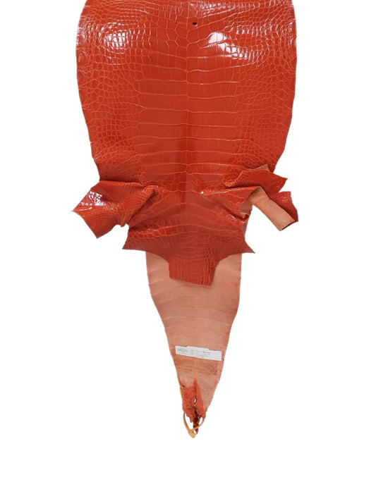 32 cm Grade 2/3 Mandarina Glazed Farm-Raised American Alligator Leather - Tag: GA13-0020606