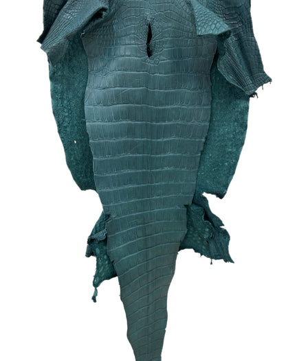 43 cm Grade 3/4 Teal Matte Wild American Alligator Leather - Tag: LA23-0023329