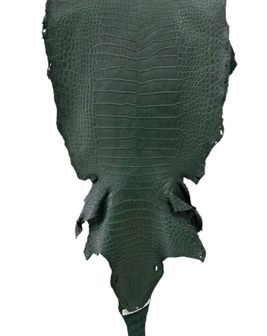 38 cm Grade 3/4 Forest Green Matte Wild American Alligator Leather - Tag: LA23-0002839