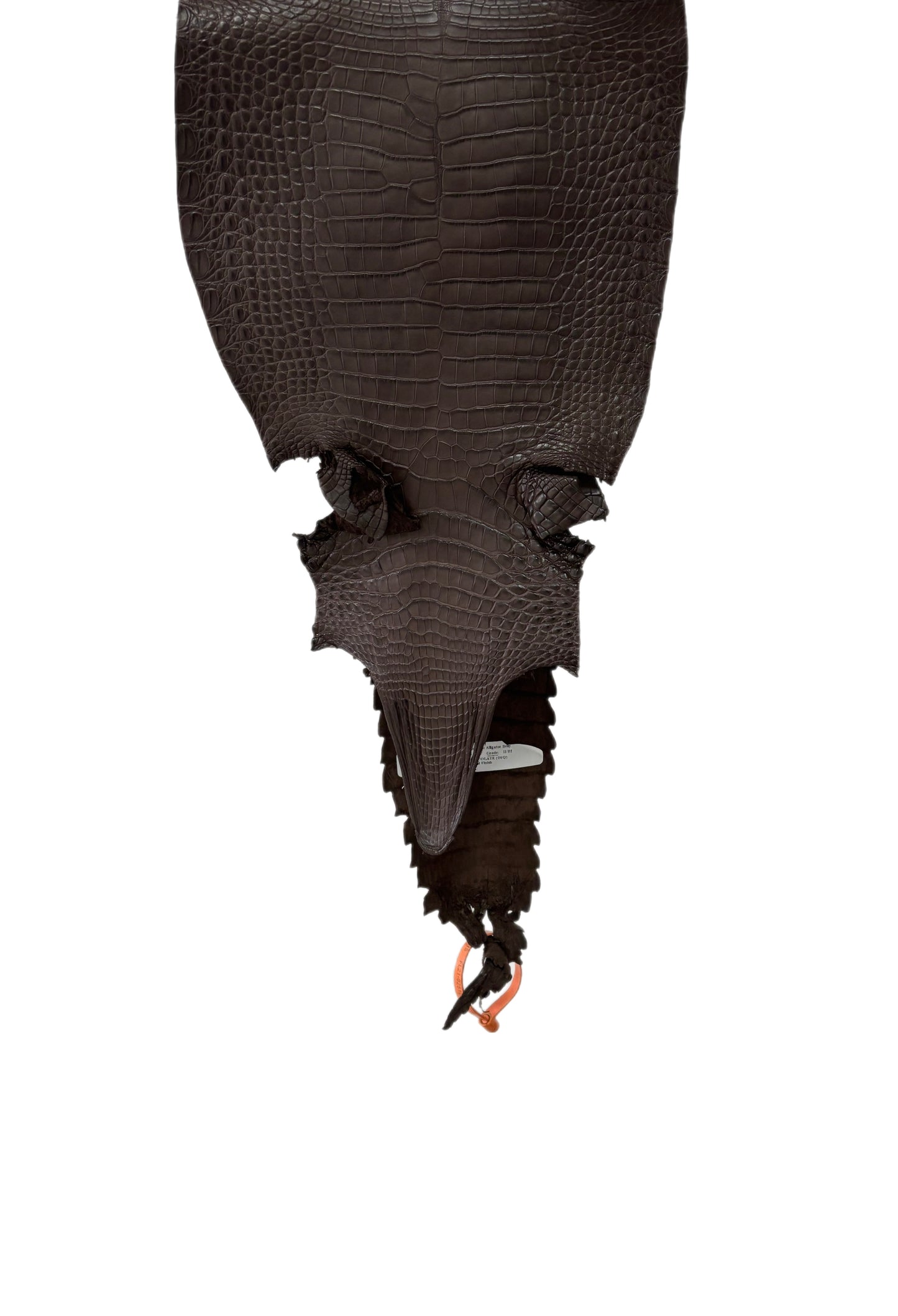 26 cm Grade 2/3 Chocolate Matte Farm-Raised American Alligator Leather - Tag: FL21-0025109