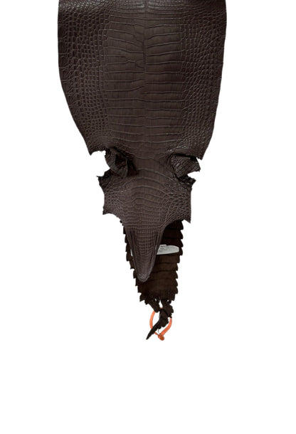 26 cm Grade 2/3 Chocolate Matte Farm-Raised American Alligator Leather - Tag: FL21-0025109