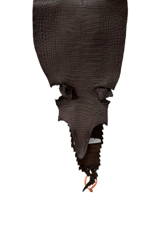 26 cm Grade 2/3 Chocolate Matte Farm-Raised American Alligator Leather - Tag: FL21-0025109