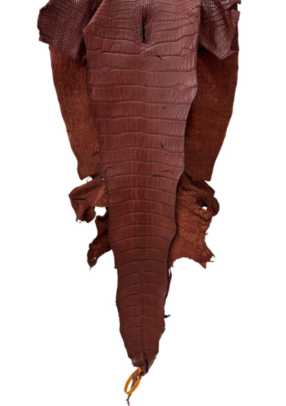 41 cm Grade 3/4 Italian Gold Matte Wild American Alligator Leather - Tag: LA25-0001666