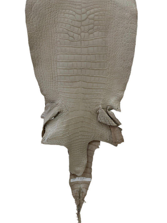 39 cm Grade 2/3 Stormy Matte Wild American Alligator Leather - Tag: LA23-0029512