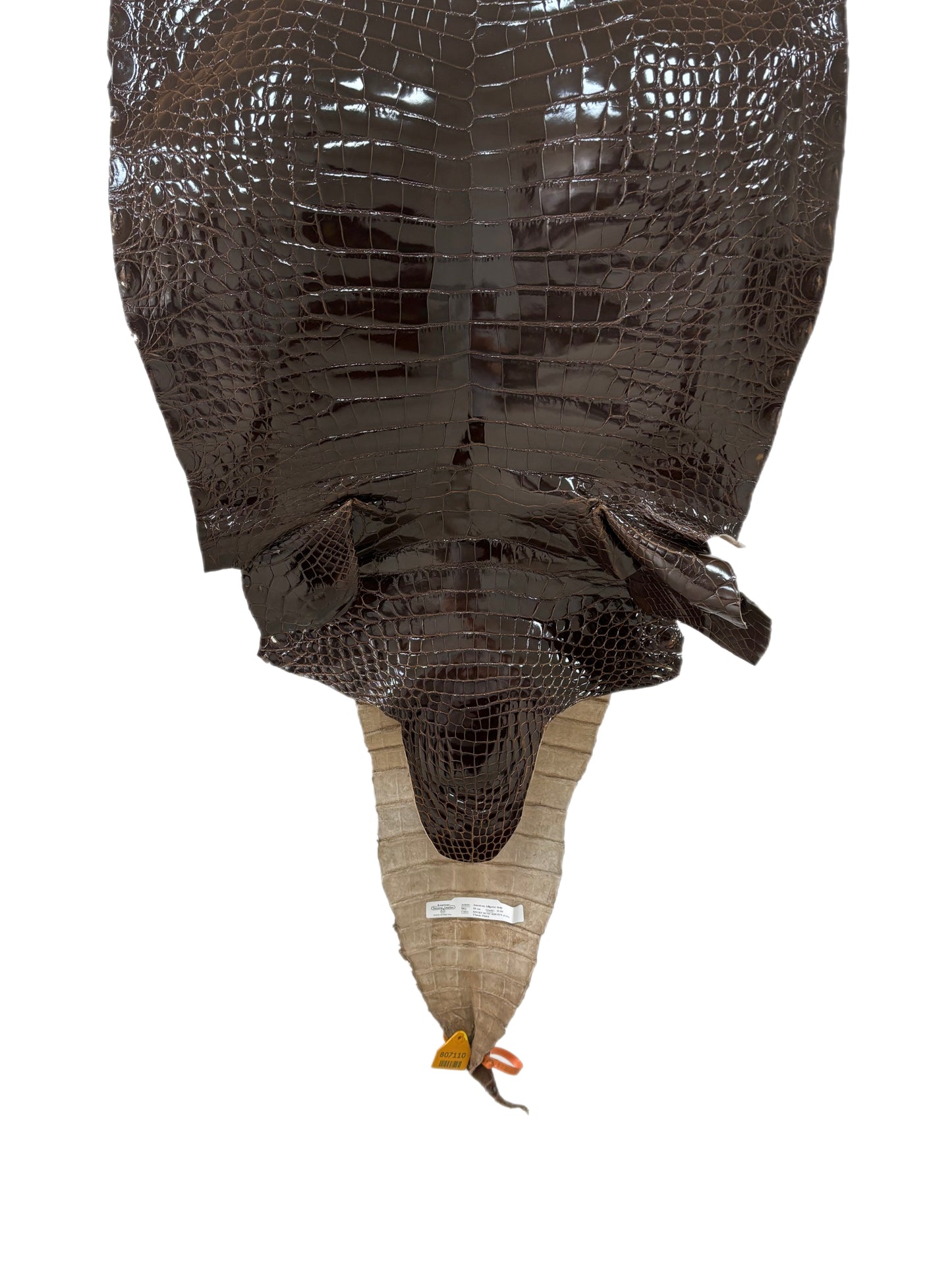 53 cm Grade 2/3 Sport Rust Brown Glazed Farm-Raised American Alligator Leather - Tag: FL14-0004079