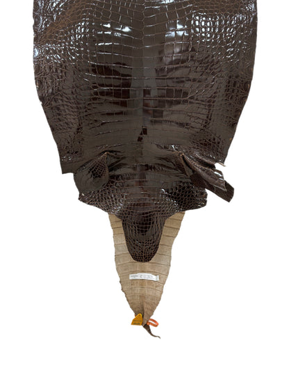 53 cm Grade 2/3 Sport Rust Brown Glazed Farm-Raised American Alligator Leather - Tag: FL14-0004079