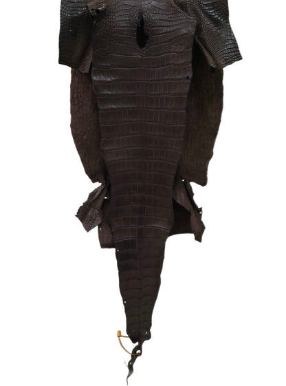 36 cm Grade 2/3 Kralle Brown Matte Wild American Alligator Leather - Tag: LA18-0033319
