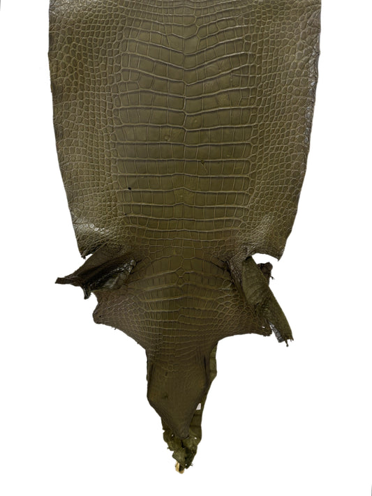 49 cm Grade 4/5 Olive Matte Wild American Alligator Leather - Tag: LA23-0000626
