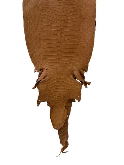 40 cm Grade 2/3 Almond Matte Wild American Alligator Leather - Tag: LA23-0022567