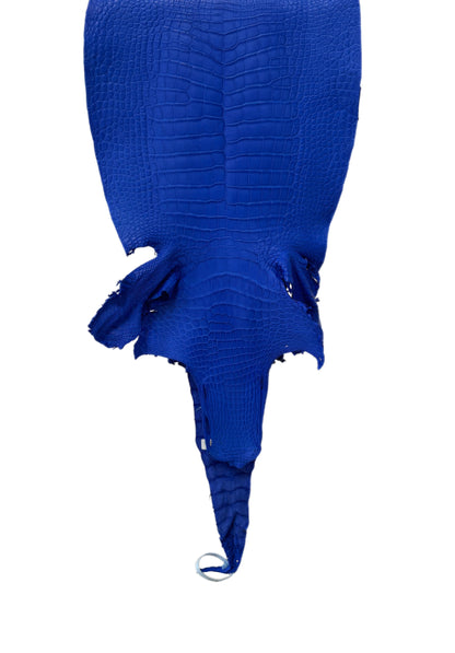 38 cm Grade 2/3 Royal Blue Matte Wild American Alligator Leather - Tag: LA23-0050907