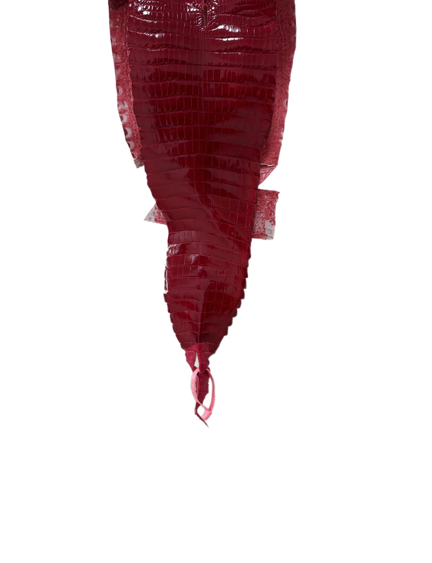 25 cm Grade 1/2 Red Classic Farm-Raised American Alligator Leather - Tag: FL21-0024837