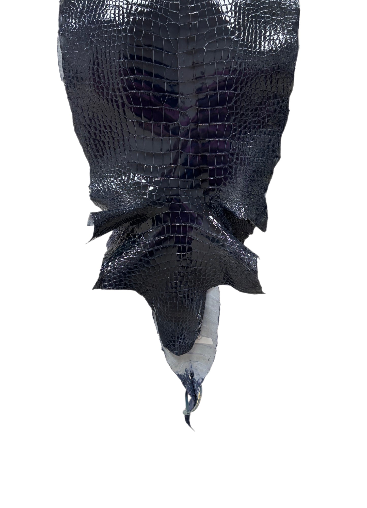 35 cm Grade 1/2 Navy Blue Glazed Wild American Alligator Leather - Tag: LA16-0016987