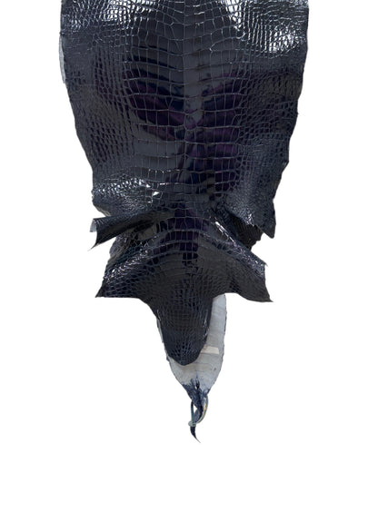 35 cm Grade 1/2 Navy Blue Glazed Wild American Alligator Leather - Tag: LA16-0016987